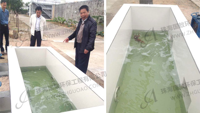 印染廢水處理后養(yǎng)魚？紡織污水處理廠(附圖)
